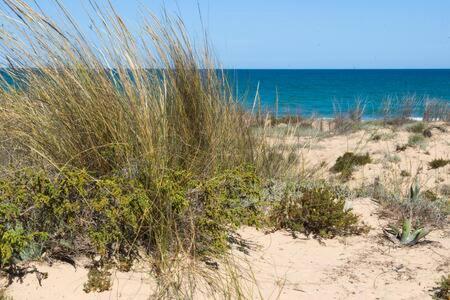 Casa Felipa, Una Estancia Unica En La Costa Blanca Guardamar del Segura Exterior foto