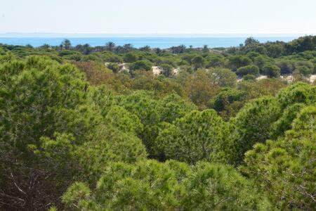 Casa Felipa, Una Estancia Unica En La Costa Blanca Guardamar del Segura Exterior foto